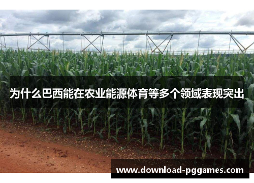 为什么巴西能在农业能源体育等多个领域表现突出 为什么巴西能在农业能源体育等多个领域表现突出