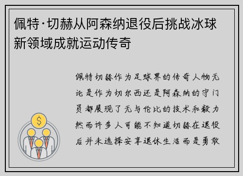 佩特·切赫从阿森纳退役后挑战冰球新领域成就运动传奇 佩特·切赫从阿森纳退役后挑战冰球新领域成就运动传奇