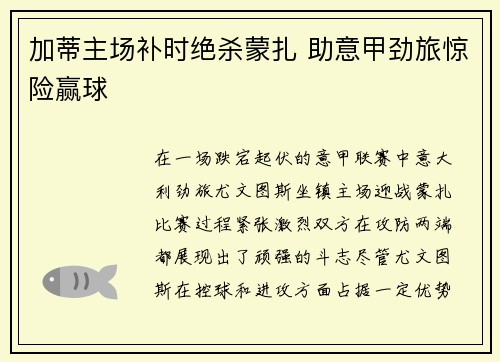 加蒂主场补时绝杀蒙扎 助意甲劲旅惊险赢球 加蒂主场补时绝杀蒙扎 助意甲劲旅惊险赢球